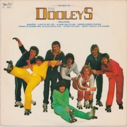 The Dooleys - The Best Of The Dooleys (VG+/VG)