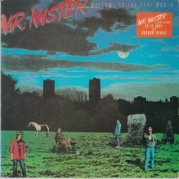 Mr. Mister - Welcome To The Real World (VG)