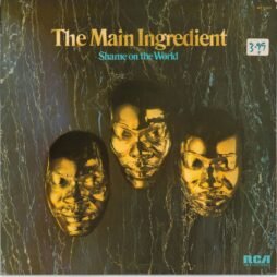 The Main Ingredient - Shame On The World (VG/G+)