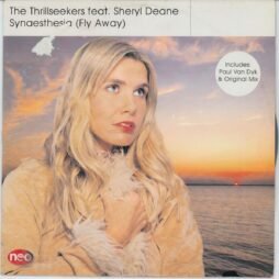 The Thrillseekers Feat. Sheryl Deane - Synaesthesia (Fly Away) (VG/G+)