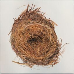 Wilco - A Ghost Is Born (VG) (2LP)