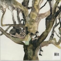 Destroyer - Labyrinthitis (VG+/VG)