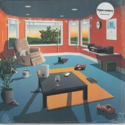 Hippo Campus - Landmark (VG+)