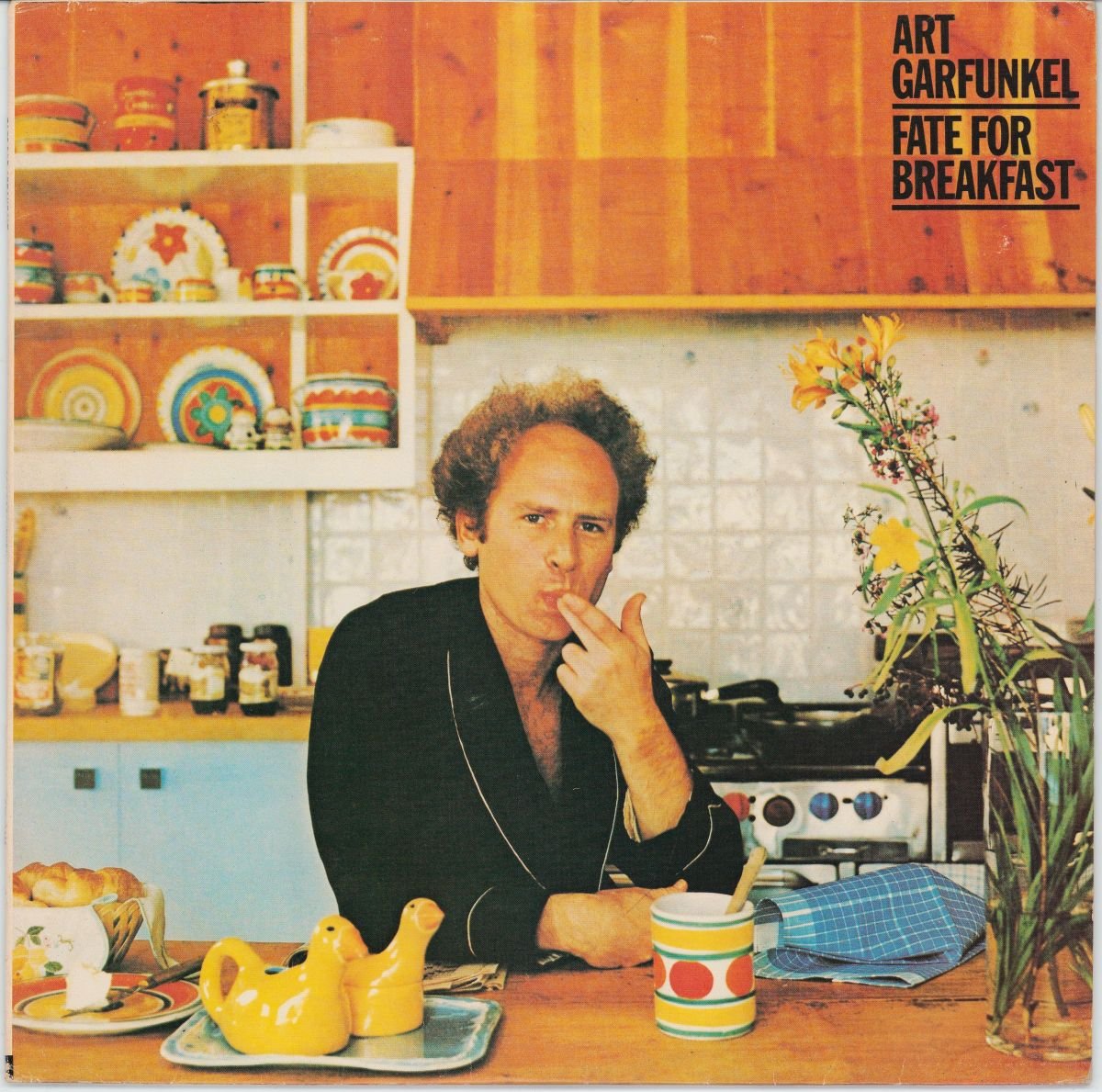 Art Garfunkel - Fate For Breakfast (VG+)