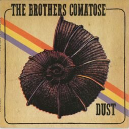 The Brothers Comatose - Dust (VG+) (10") (Ltd. Ed.)