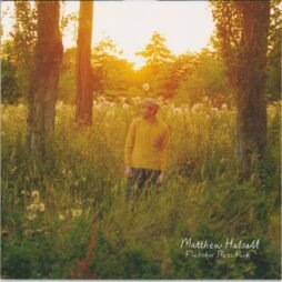 Matthew Halsall - Fletcher Moss Park (VG)