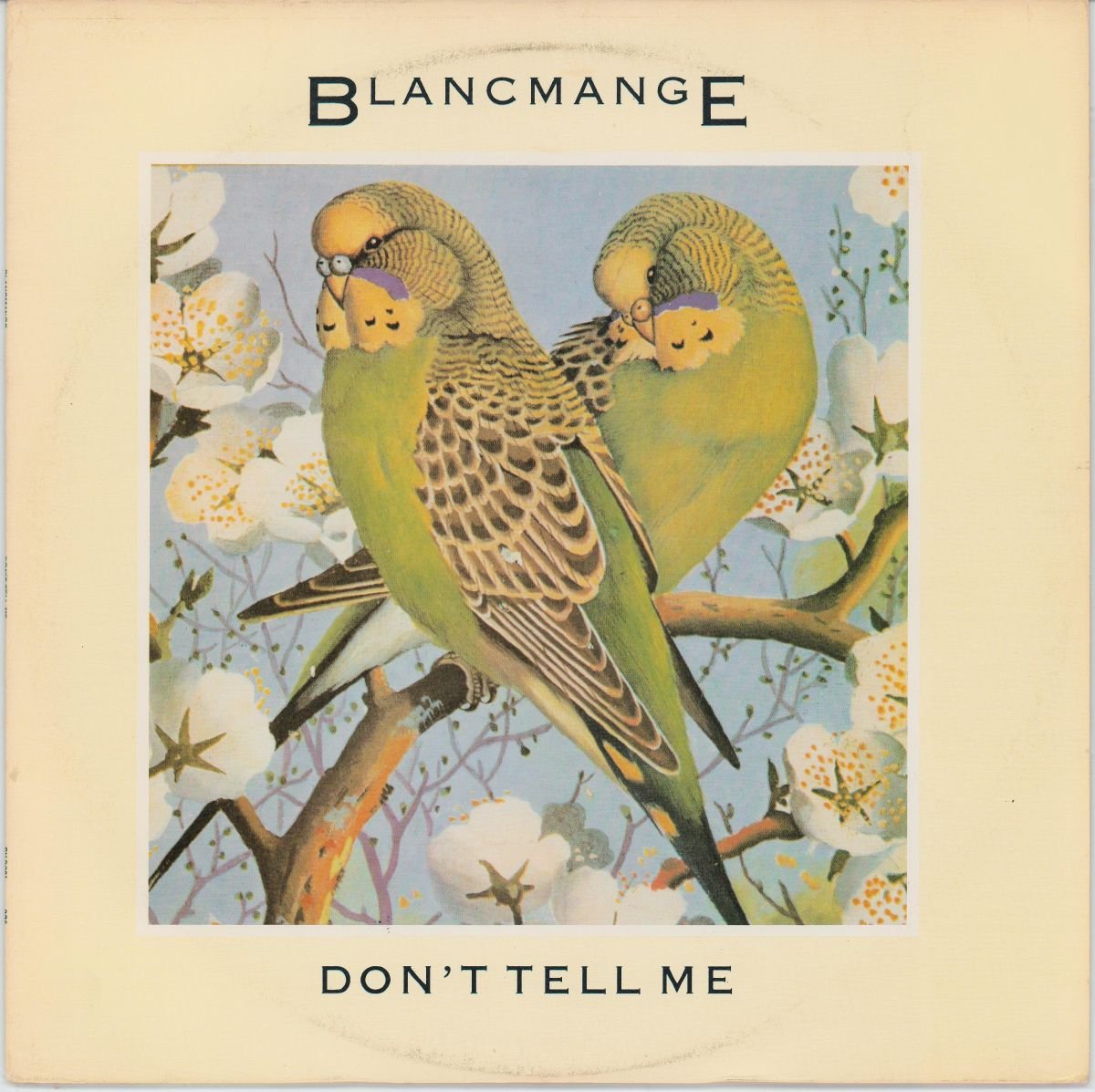 Blancmange - Don't Tell Me (VG+/VG) (12")
