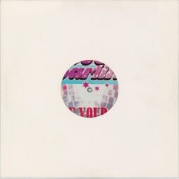 Disco Darlings - Shake Your Body (VG/Gen) (12") (Pict. Disc)
