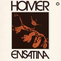 Homer Steinweiss - Ensatina (Newt Orange Vinyl)