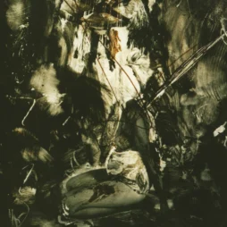 Fields Of The Nephilim - Elizium (Green Vinyl)