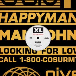 Jungle - Happy Man / House In LA