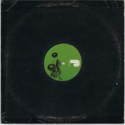DJ Spinna Feat Selan - Back 2 U (VG/Gen)