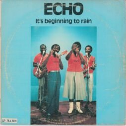 Echo - It's Beginning To Rain (VG/G+)
