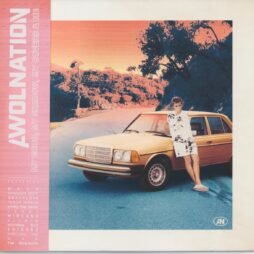 Awolnation - My Echo, My Shadow, My Covers & Me (VG+) (Grey Marble Recycled Vinyl)