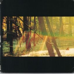 Childish Gambino - Camp (VG+/G) (2LP) (Red Bonfire Vinyl)