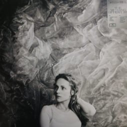 Agnes Obel - The Meaning Of Flowers